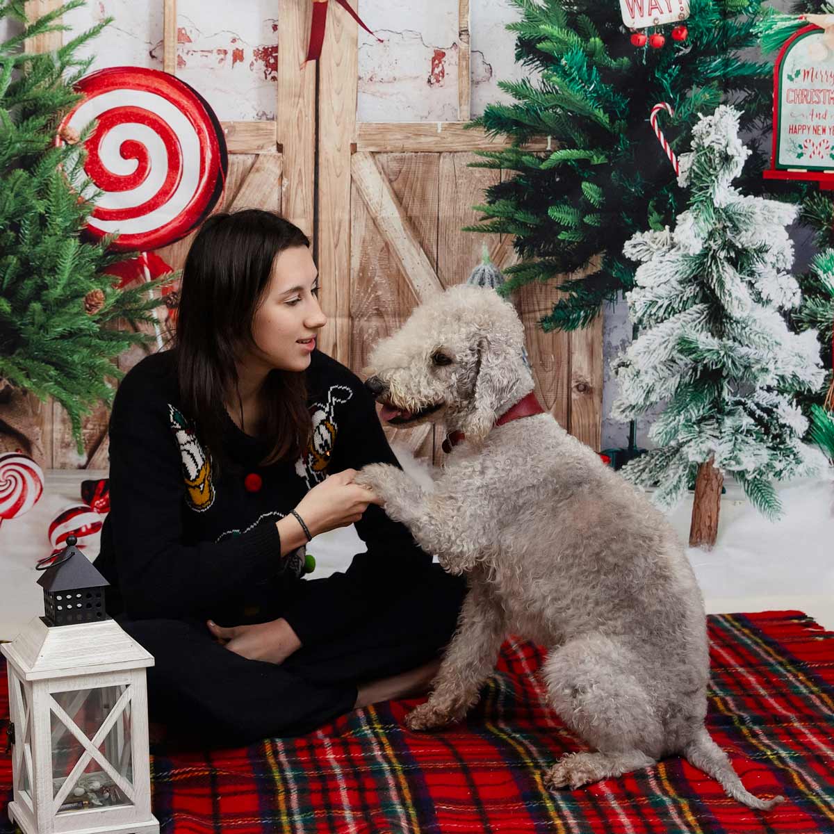 muenchen-familienfotos-weihnachten-shooting